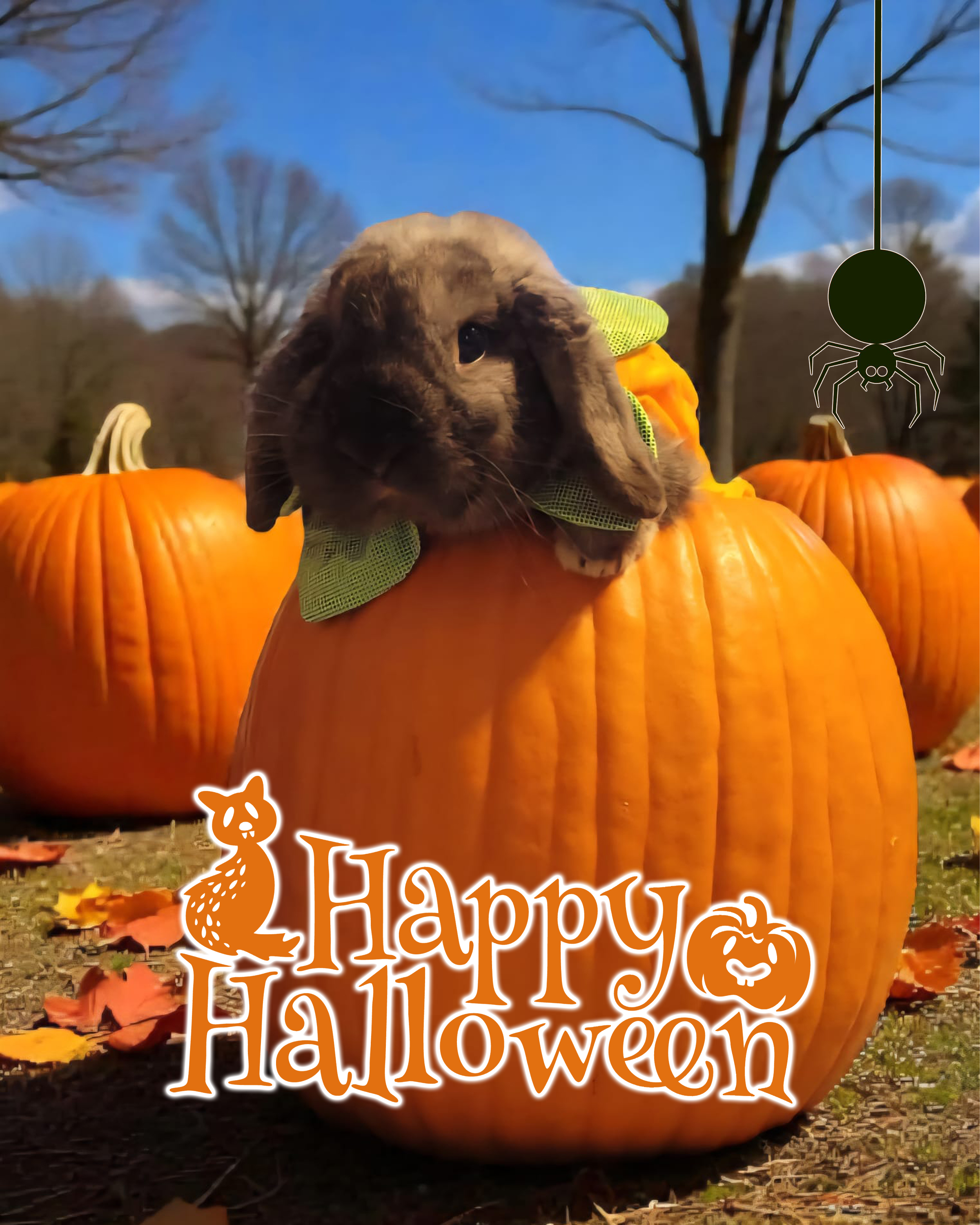 Halloween Post
